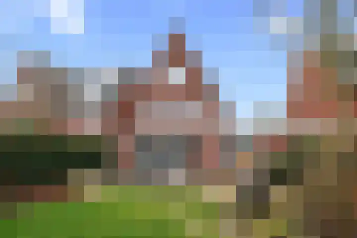 Kamgras 44 Houten thumbnail 26