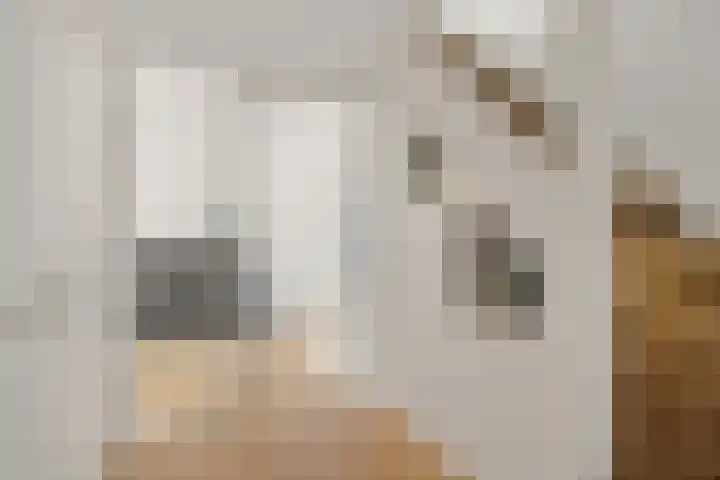 Kamgras 44 Houten thumbnail 27