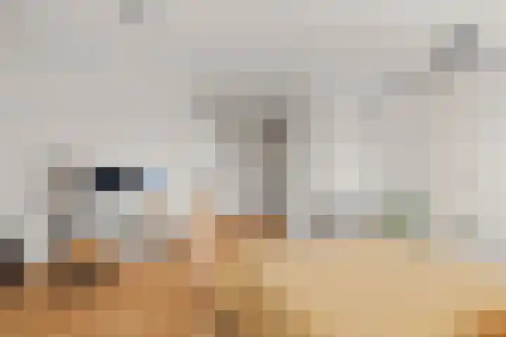 Kamgras 44 Houten thumbnail 32
