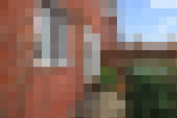 Kamgras 44 Houten thumbnail 51