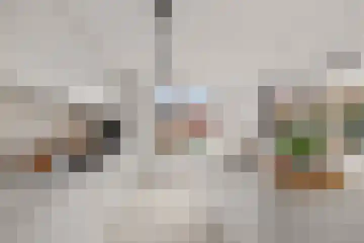 Kamgras 44 Houten thumbnail 9