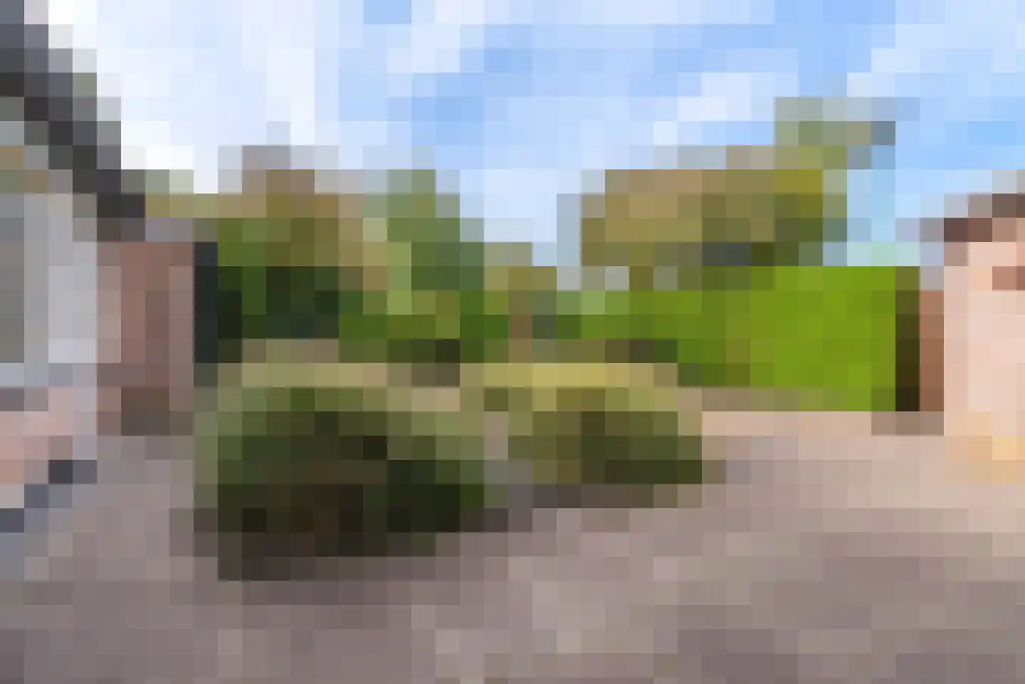 Kamgras 62 Veenendaal thumbnail 36