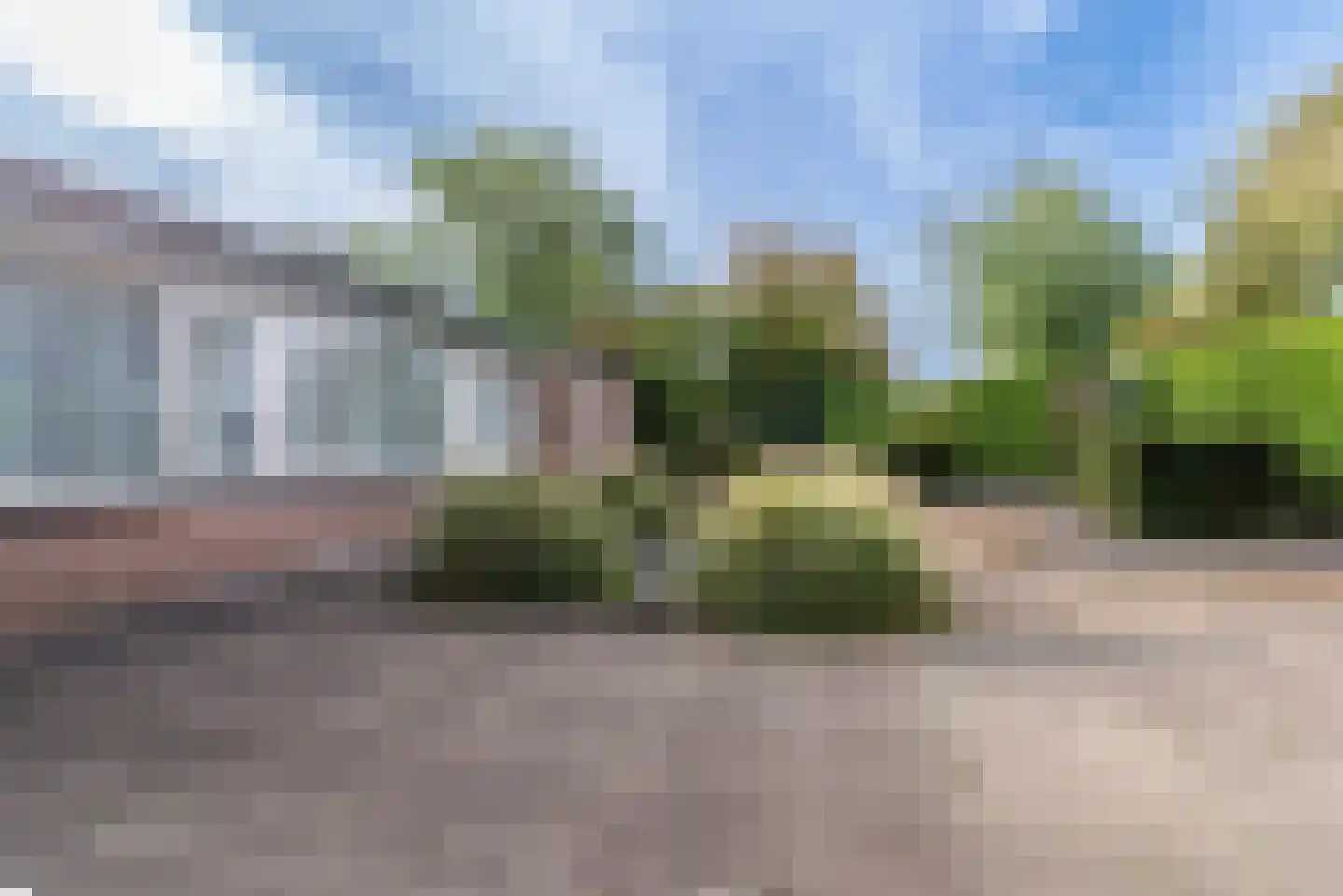 Kamgras 62 Veenendaal thumbnail 37