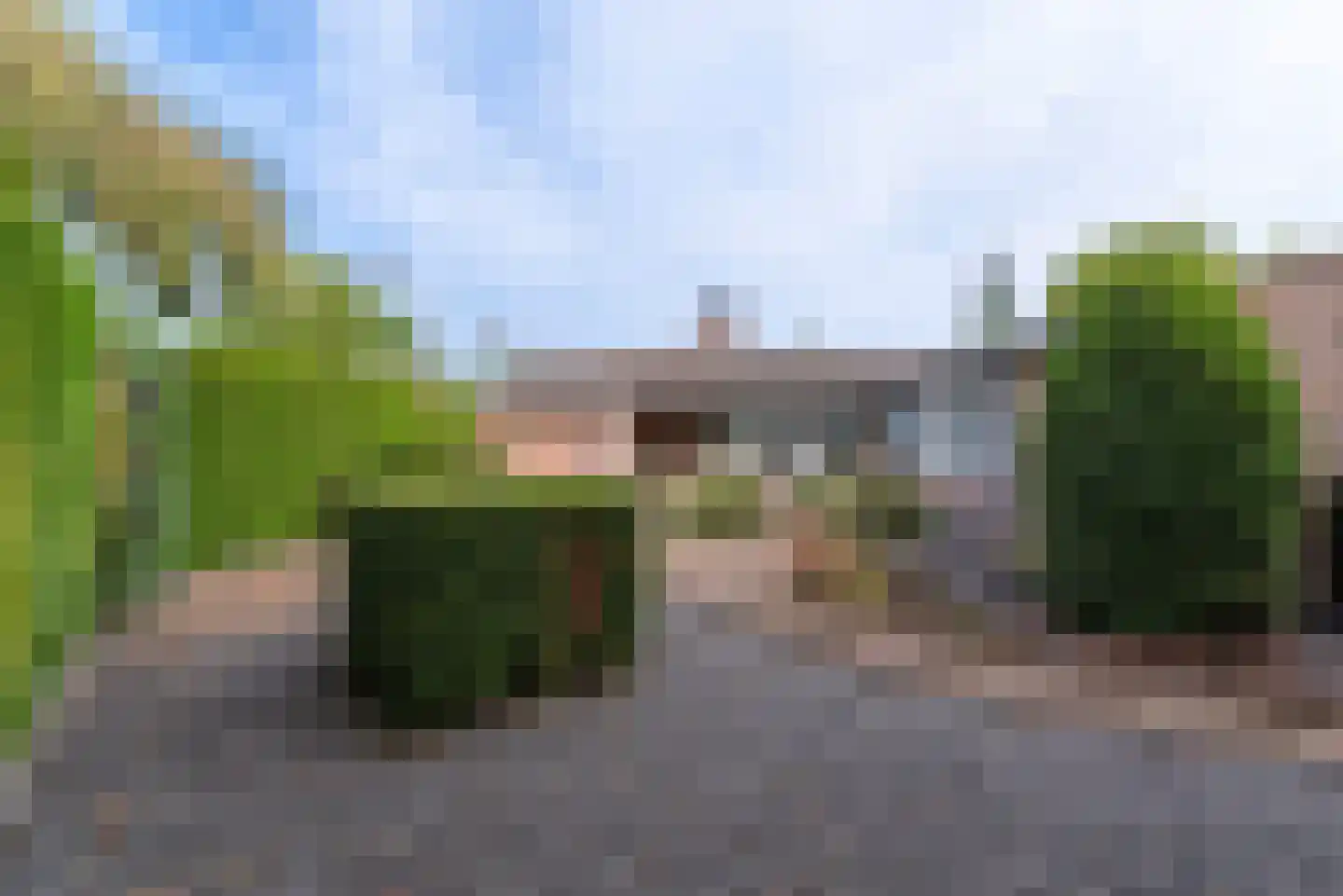 Kamgras 62 Veenendaal thumbnail 45
