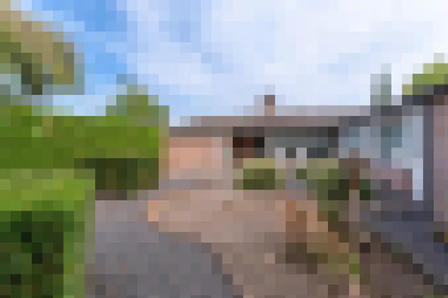 Kamgras 62 Veenendaal thumbnail 46
