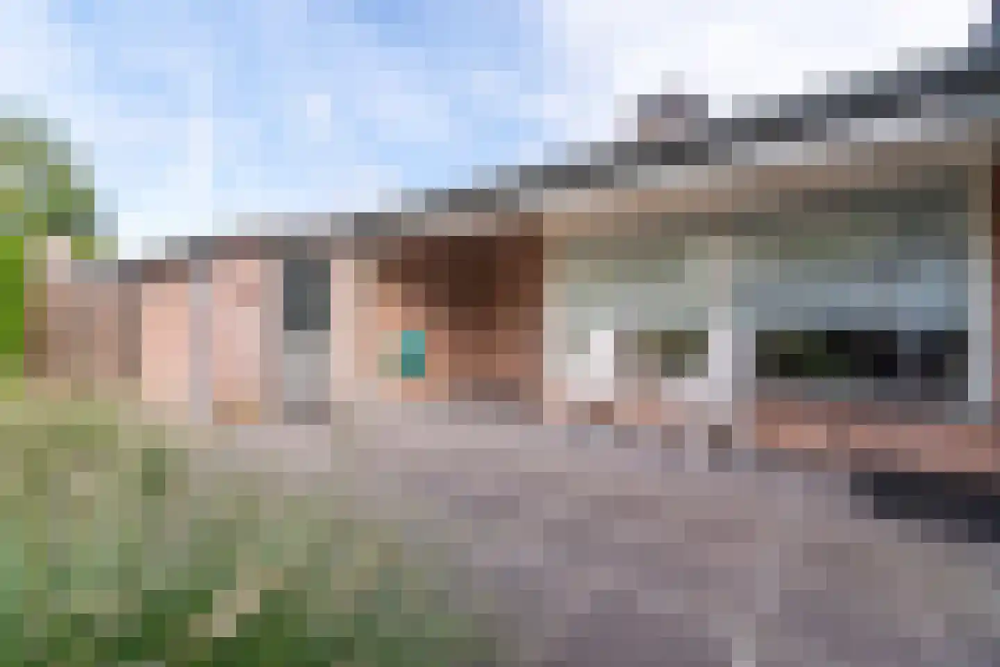 Kamgras 62 Veenendaal thumbnail 47