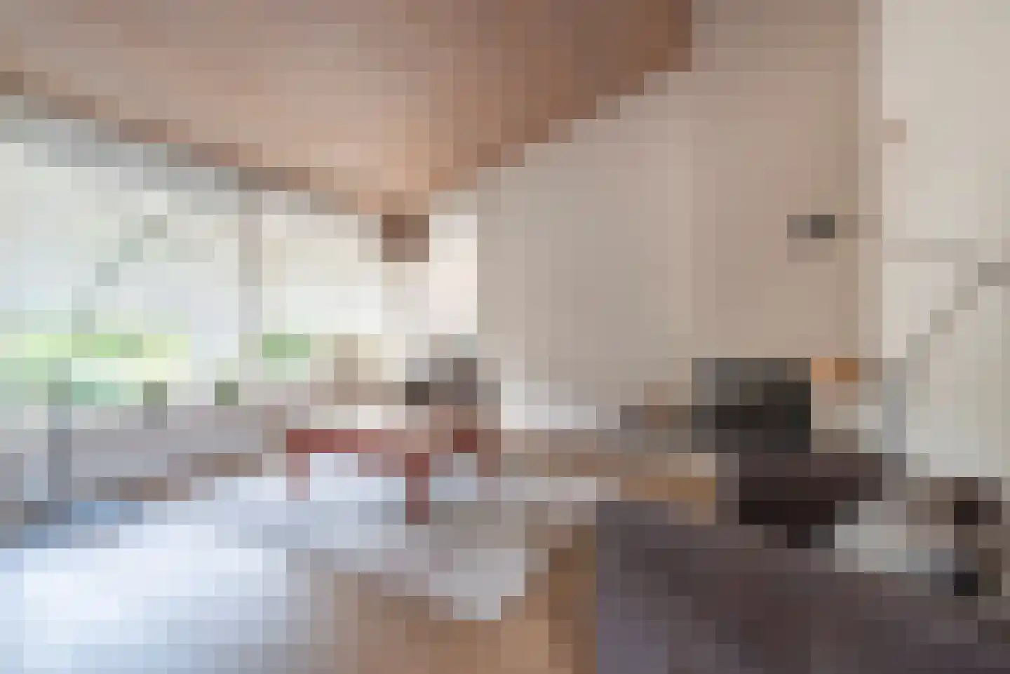 Kamgras 62 Veenendaal thumbnail 8
