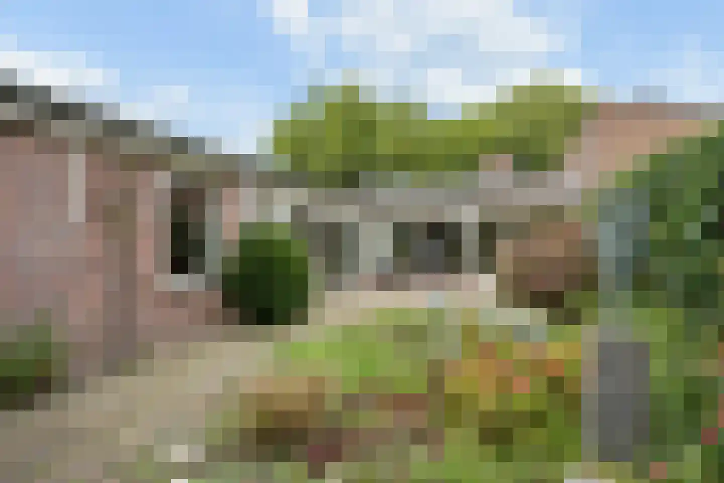Kamgras 68 in Veenendaal