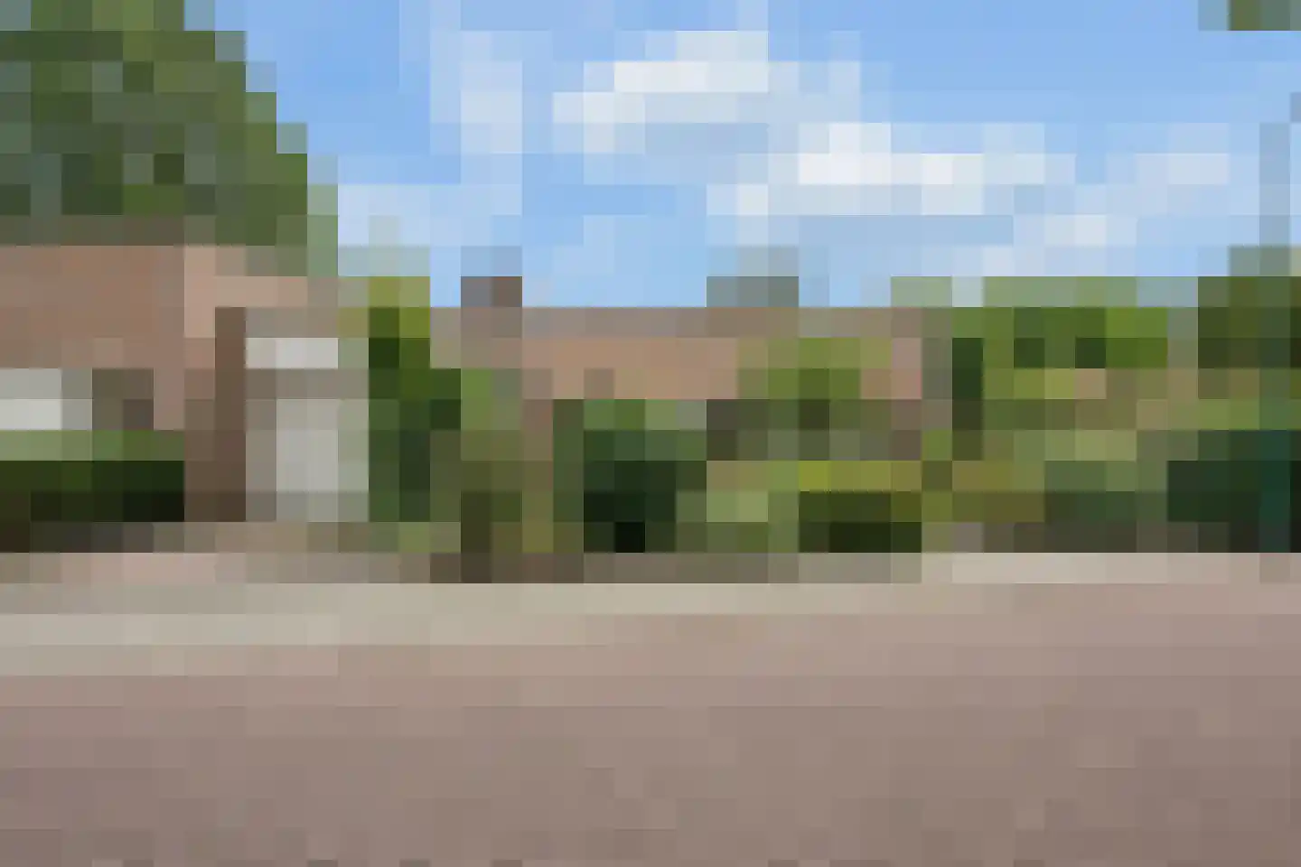 Kamgras 68 Veenendaal thumbnail 42