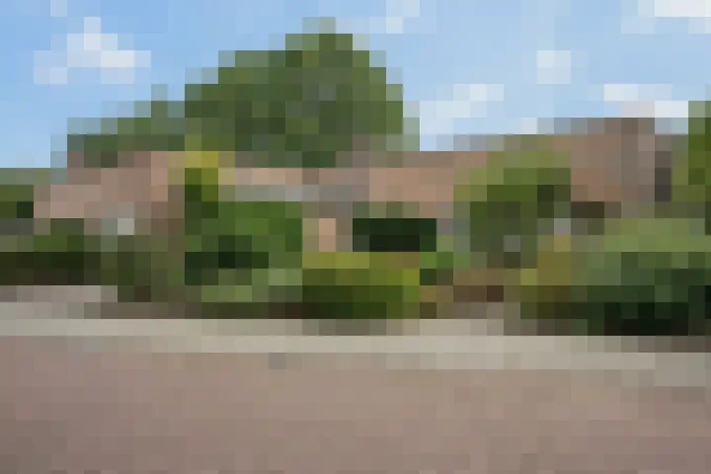 Kamgras 68 Veenendaal thumbnail 45