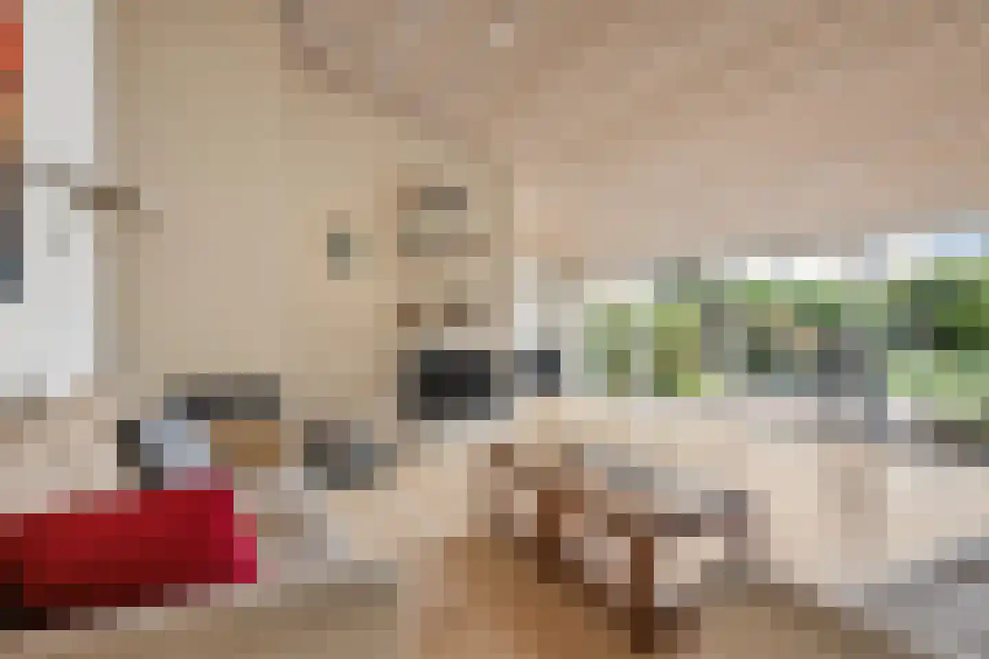 Kamgras 68 Veenendaal thumbnail 6