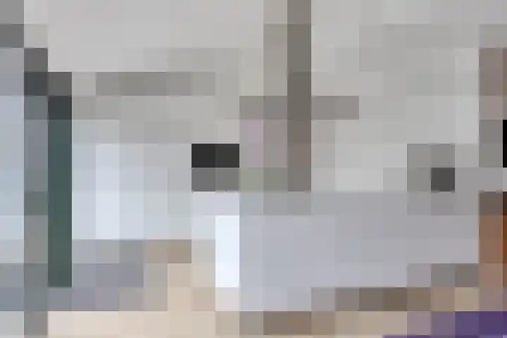Kamgras 7 Gouda thumbnail 10