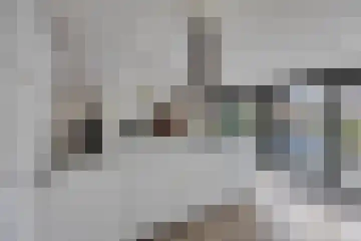 Kamgras 7 Gouda thumbnail 12