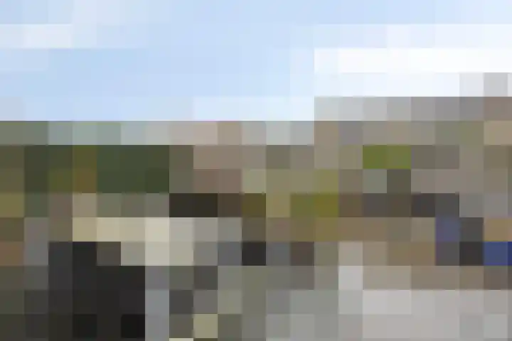 Kamgras 7 Gouda thumbnail 15
