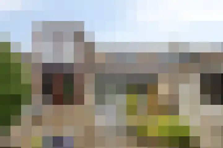 Kamgras 7 Gouda thumbnail 17