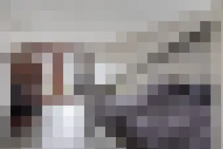 Kamgras 7 Gouda thumbnail 20