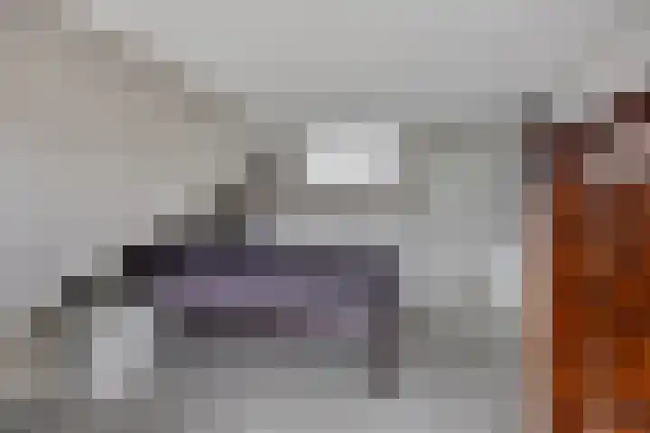 Kamgras 7 Gouda thumbnail 21