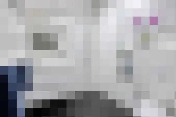 Kamgras 7 Gouda thumbnail 23