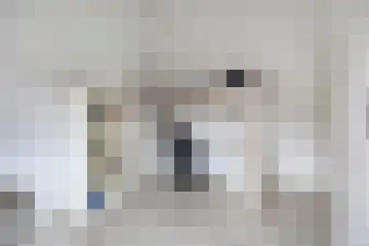 Kamgras 7 Gouda thumbnail 25