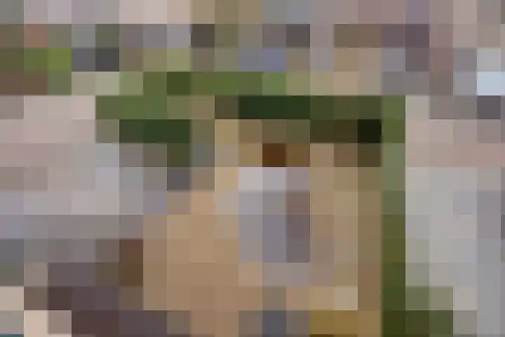Kamgras 7 Gouda thumbnail 27