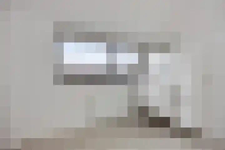 Kamgras 7 Gouda thumbnail 30