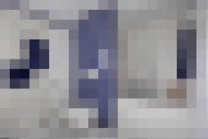 Kamgras 7 Gouda thumbnail 31