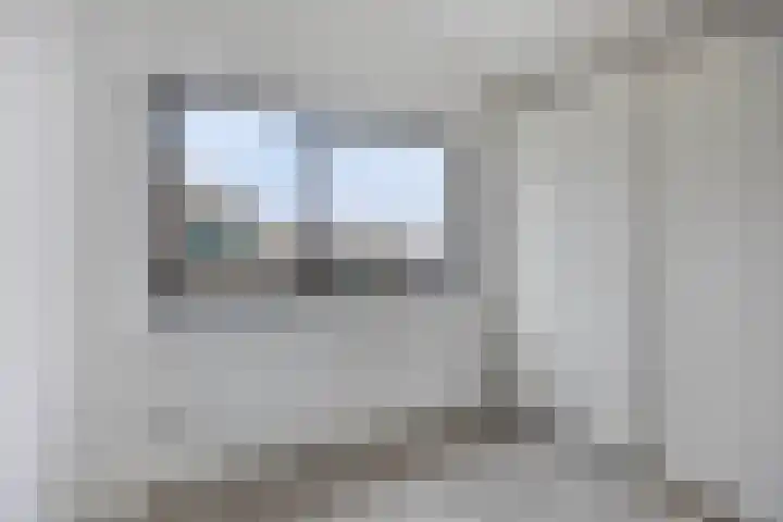Kamgras 7 Gouda thumbnail 34