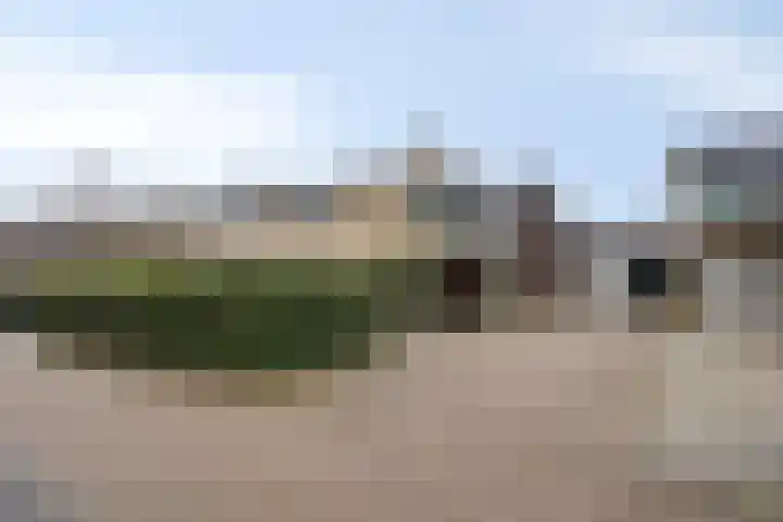 Kamgras 7 Gouda thumbnail 37