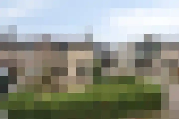 Kamgras 7 Gouda thumbnail 39
