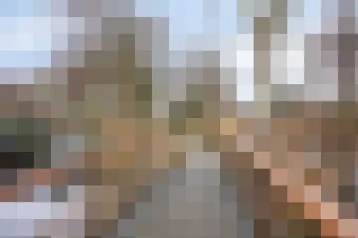 Kamgras 7 Gouda thumbnail 42