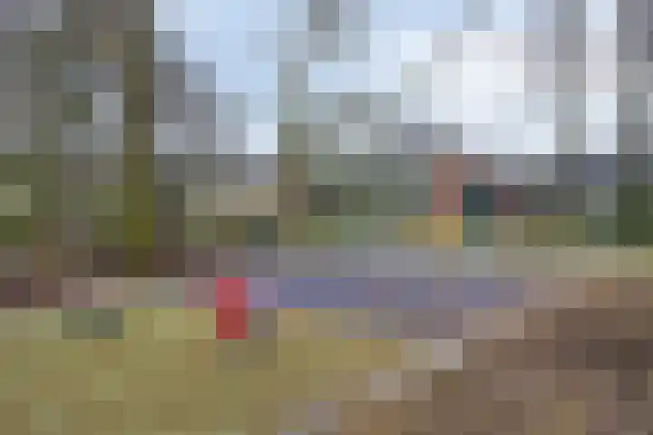 Kamgras 7 Gouda thumbnail 43