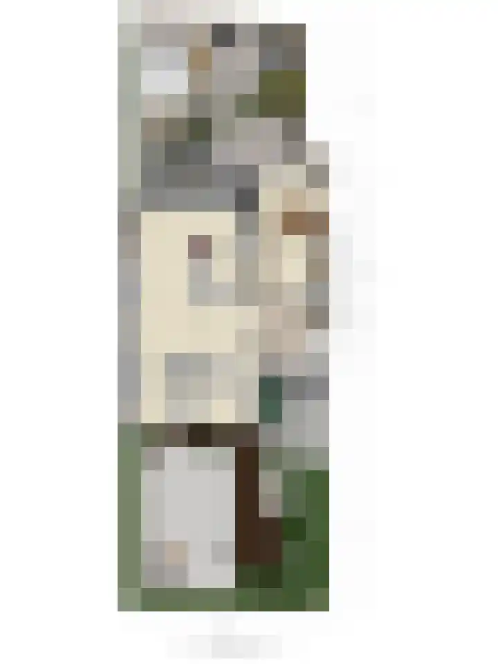 Kamgras 7 Gouda thumbnail 45