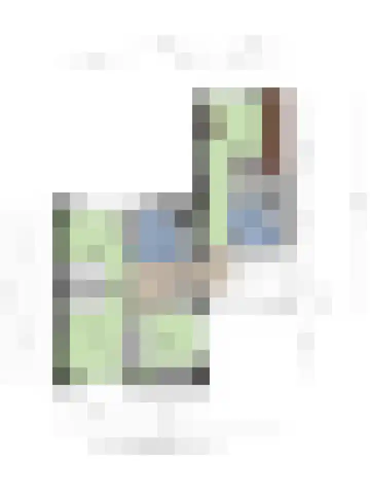 Kamgras 7 Gouda thumbnail 46
