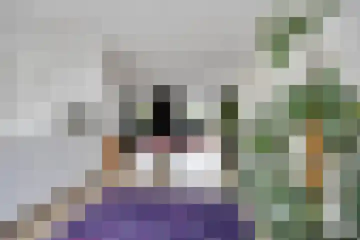 Kamgras 7 Gouda thumbnail 8