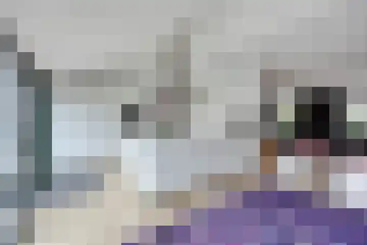 Kamgras 7 Gouda thumbnail 9