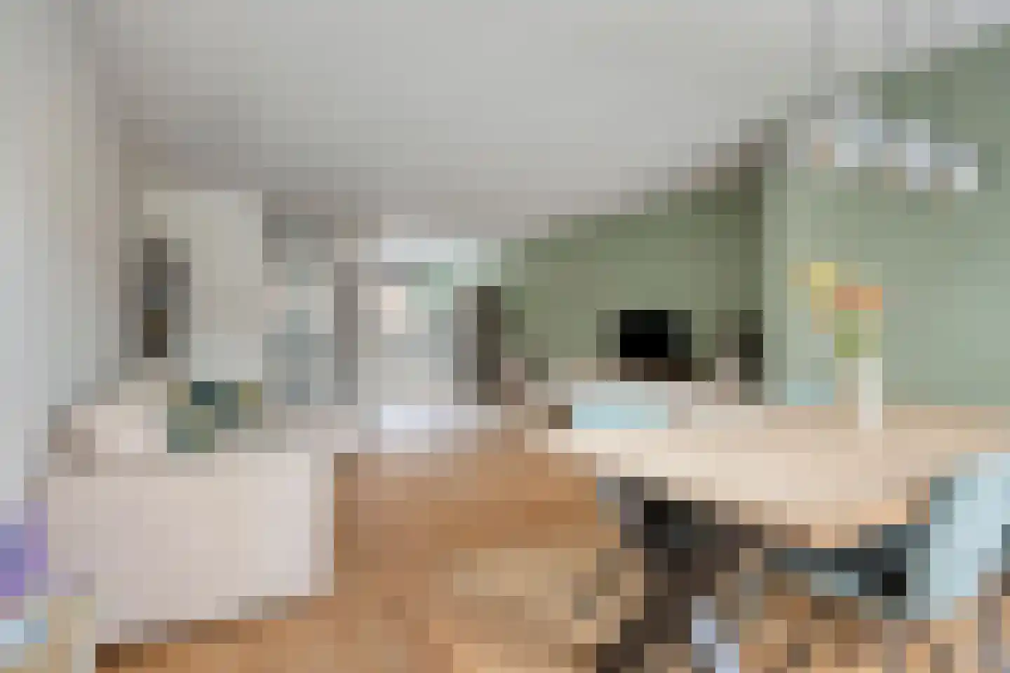 Kamgras 7 Haastrecht thumbnail 10