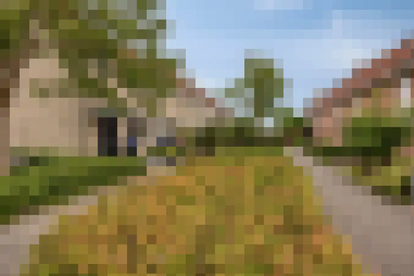 Kamgras 7 Haastrecht thumbnail 29