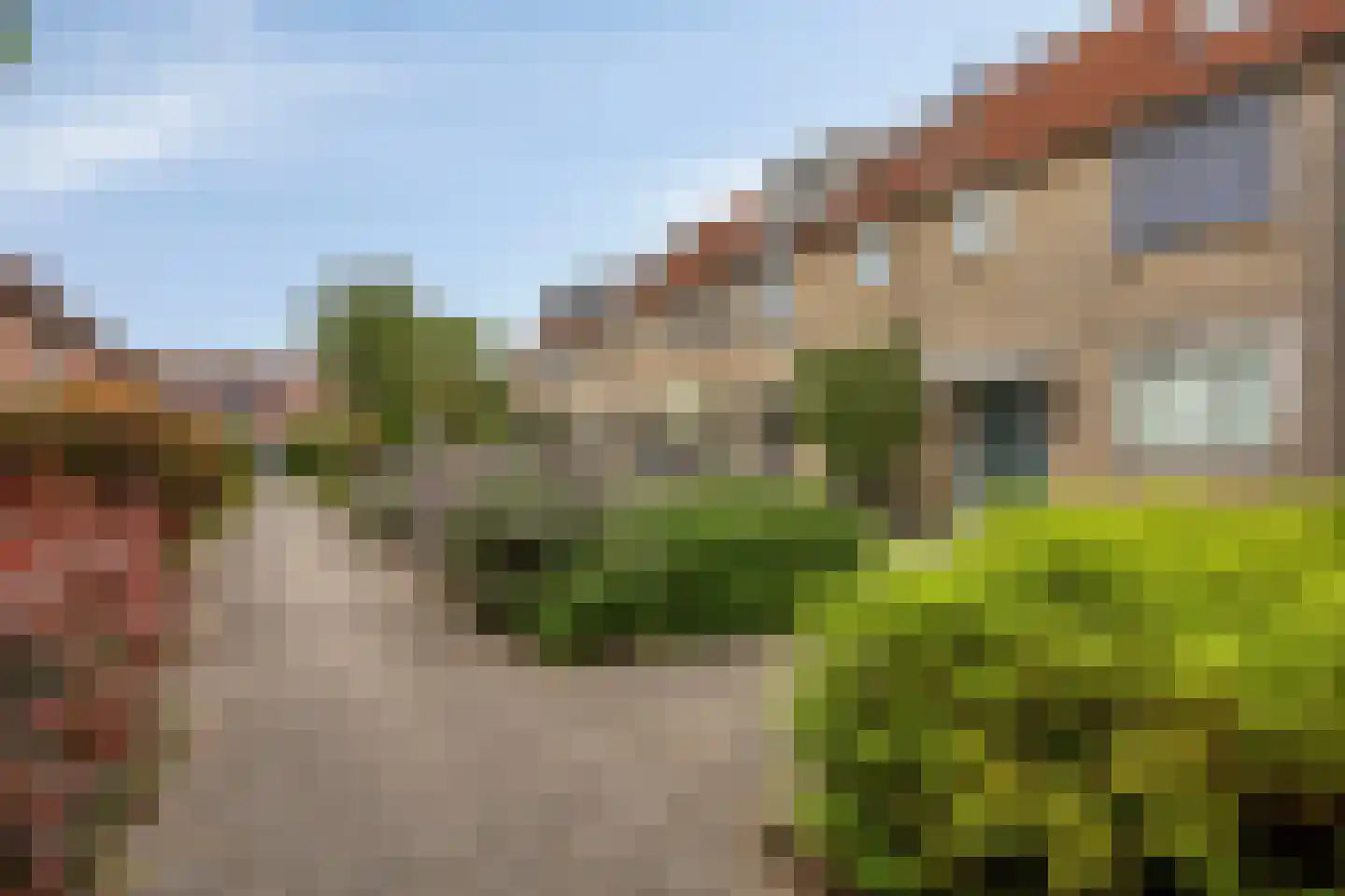 Kamgras 7 Haastrecht thumbnail 30