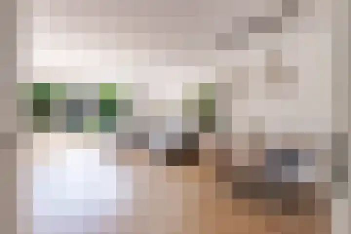 Kamgras 71 Houten thumbnail 11