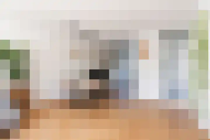 Kamgras 71 Houten thumbnail 17