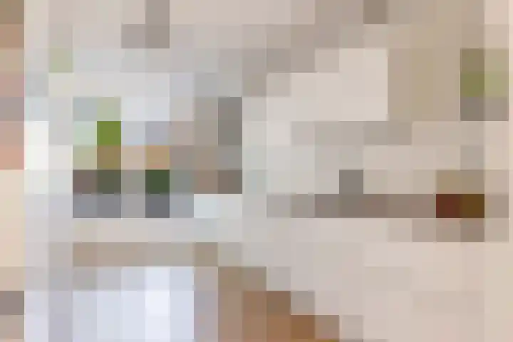 Kamgras 71 Houten thumbnail 20
