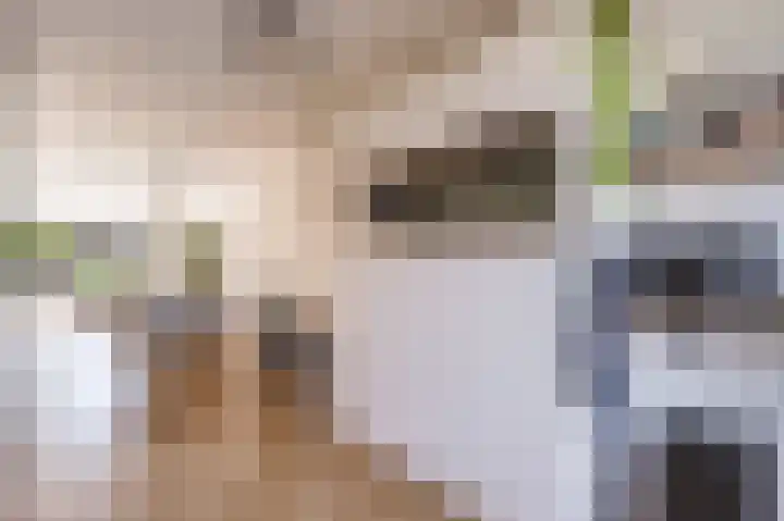 Kamgras 71 Houten thumbnail 23