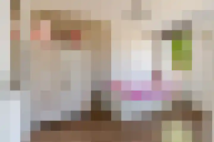 Kamgras 71 Houten thumbnail 26
