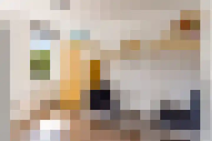 Kamgras 71 Houten thumbnail 29