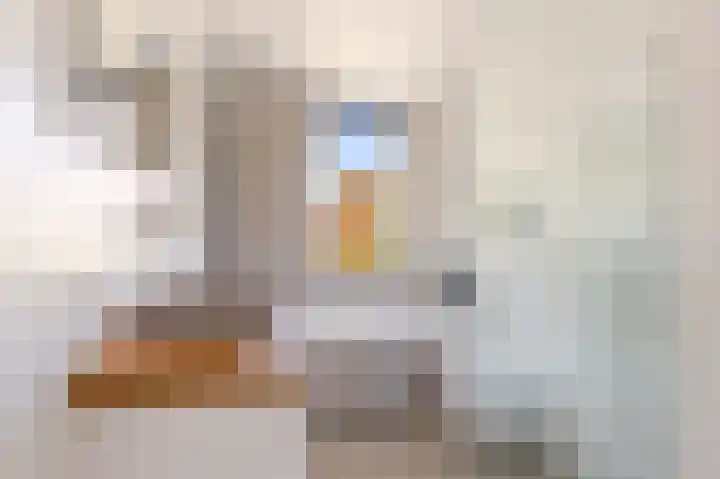 Kamgras 71 Houten thumbnail 34