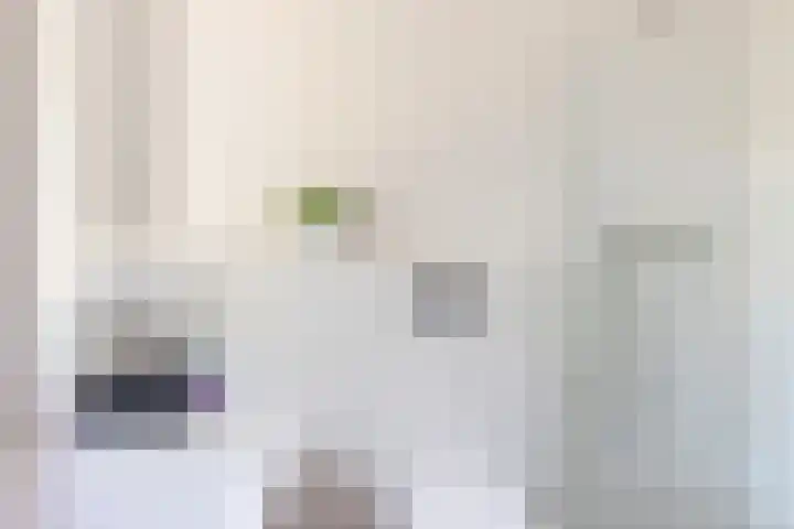 Kamgras 71 Houten thumbnail 37