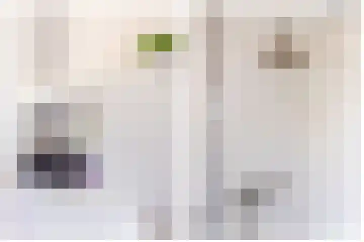 Kamgras 71 Houten thumbnail 38