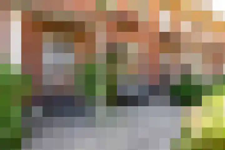 Kamgras 71 Houten thumbnail 4