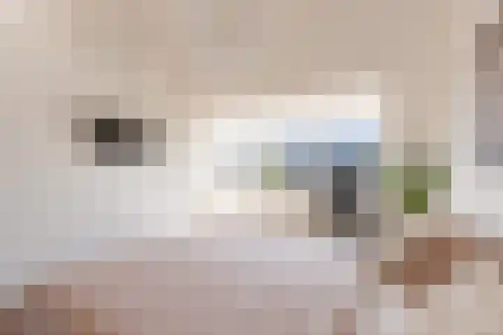 Kamgras 71 Houten thumbnail 43