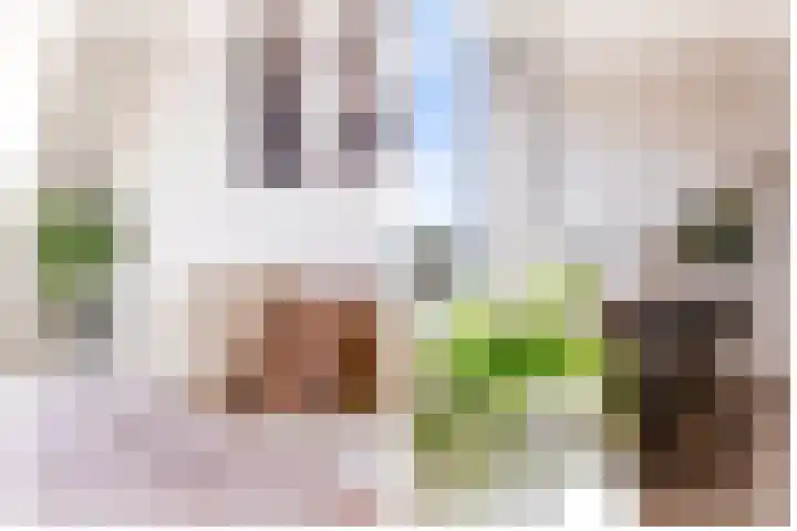 Kamgras 71 Houten thumbnail 44